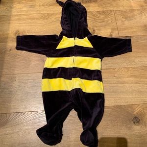 Newborn bumble bee